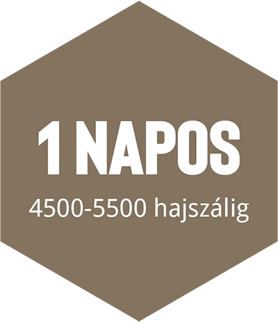 hajbeültetés Debrecen csomagok
